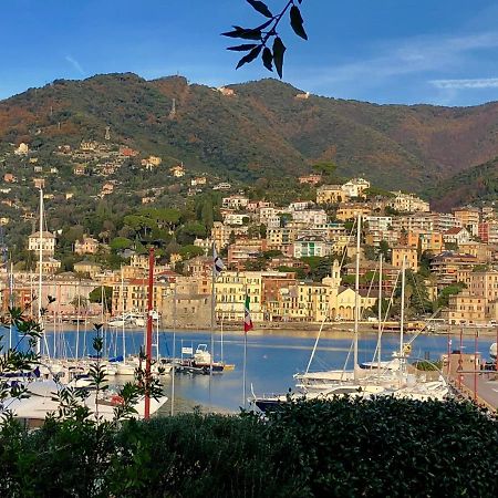 Bella Vacanza - City Center -Air Conditioning -Wi-Fi Rapallo Exteriér fotografie